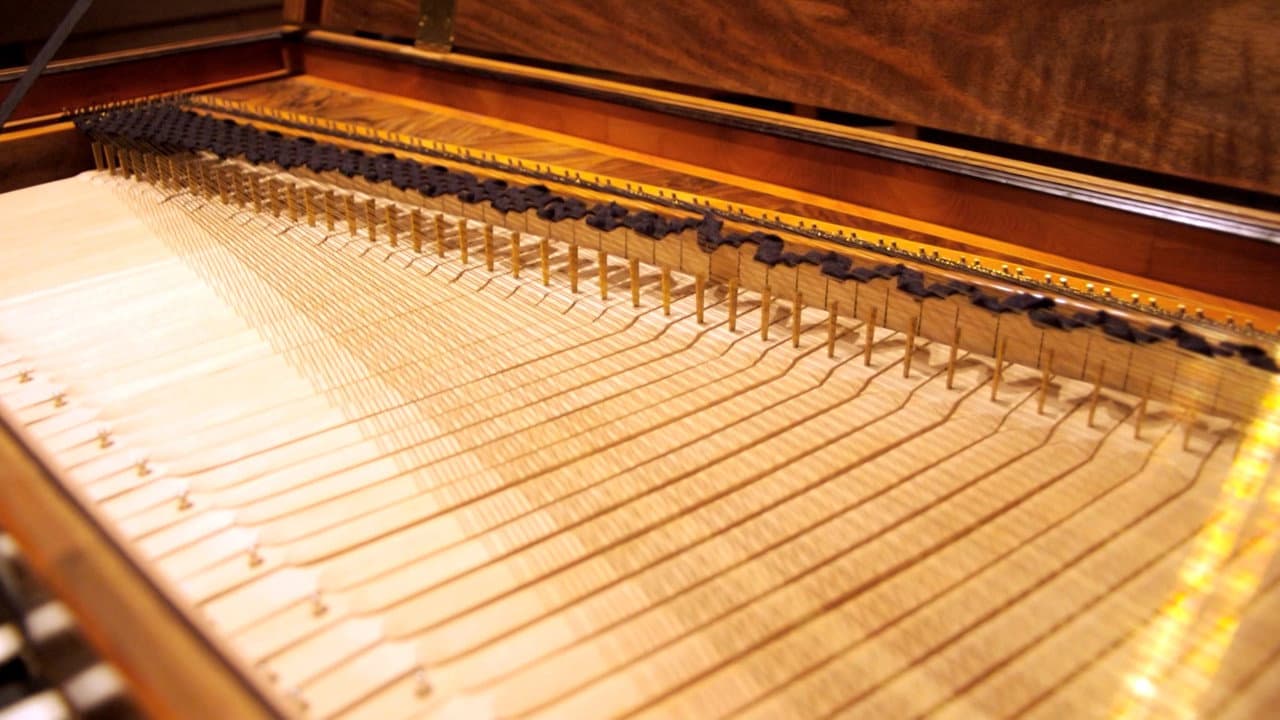 Playing the Room: The Making of The Virtual Haydn