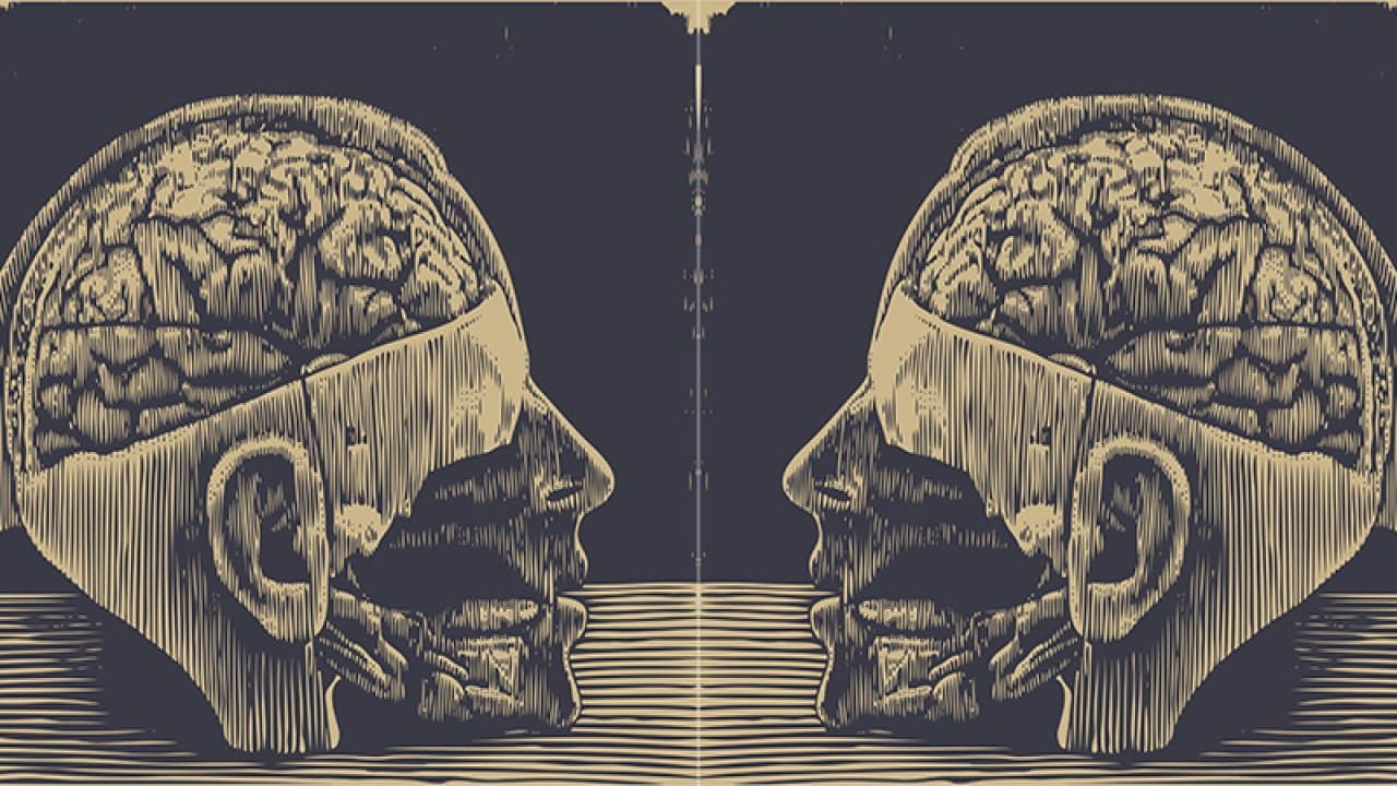 Lobotomy, or the Blinding Creation of Moniz