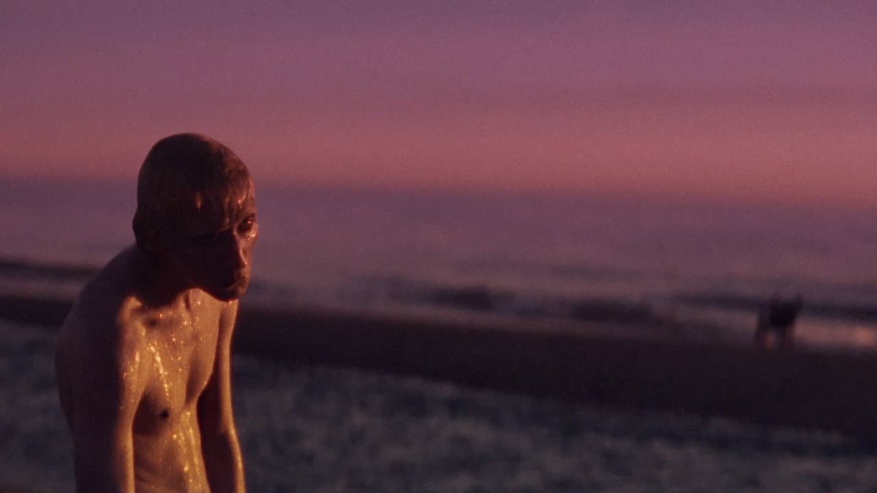 Or How to Disappear