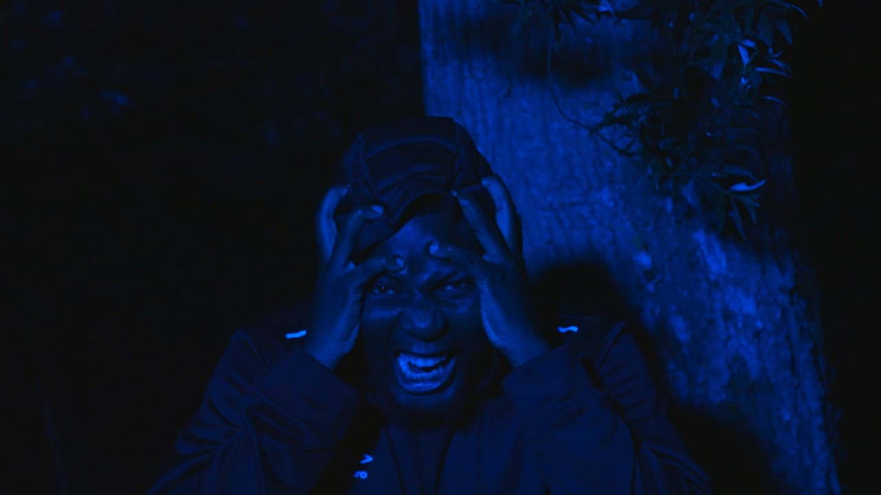 The Prisoner