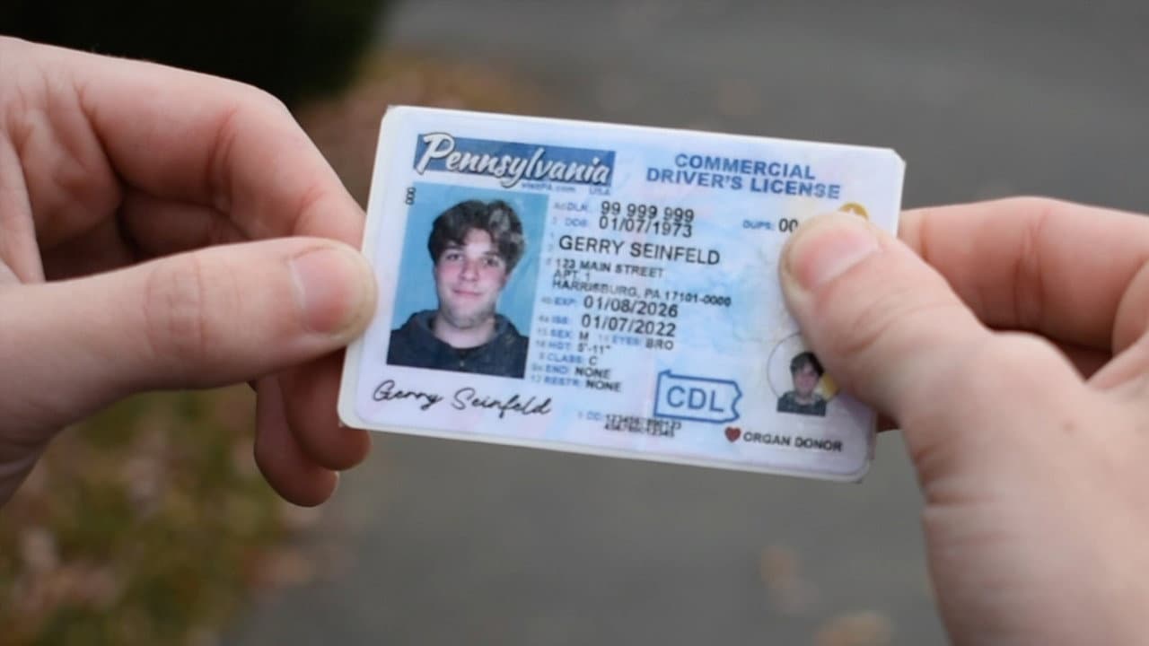 Seeking Seinfeld