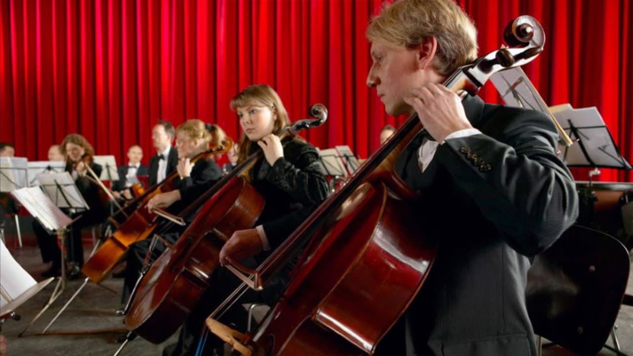 The Symphony—Music for Every Person