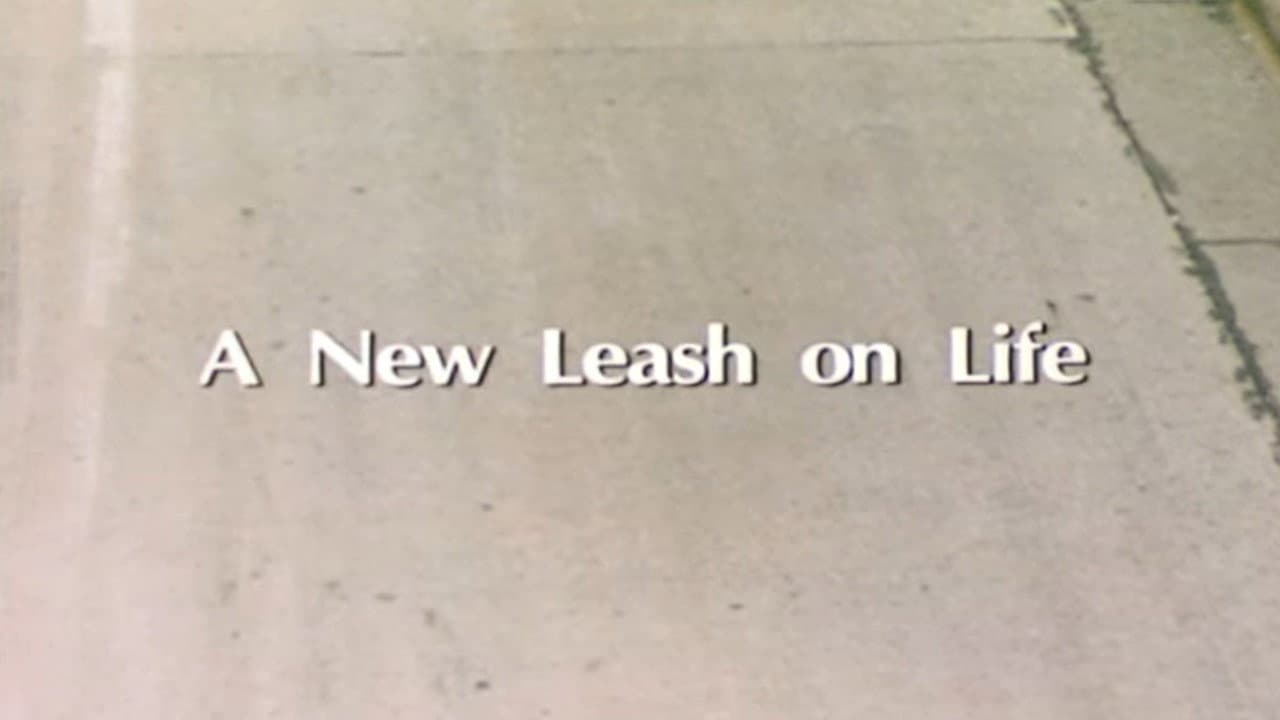 A New Leash On Life