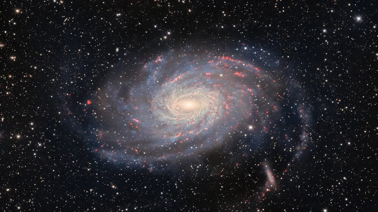 The Character of Physical Law