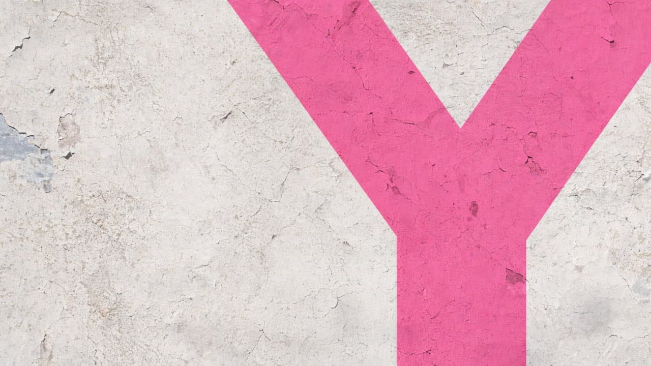 Y-History