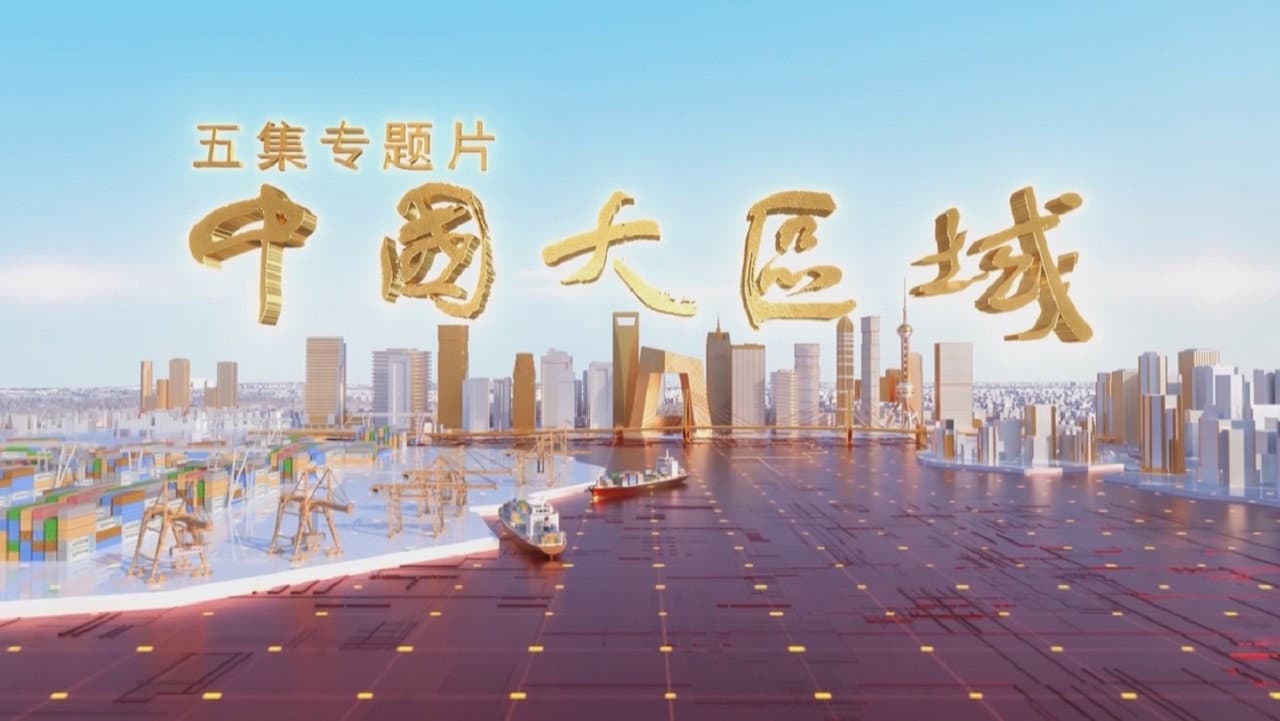 中国大区域