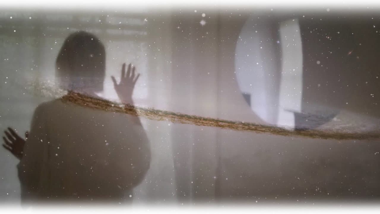 Parallel Dreams