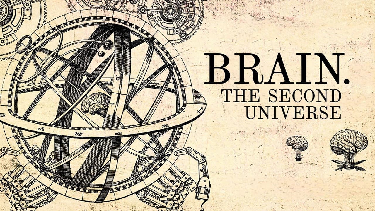 Brain. Second Universe