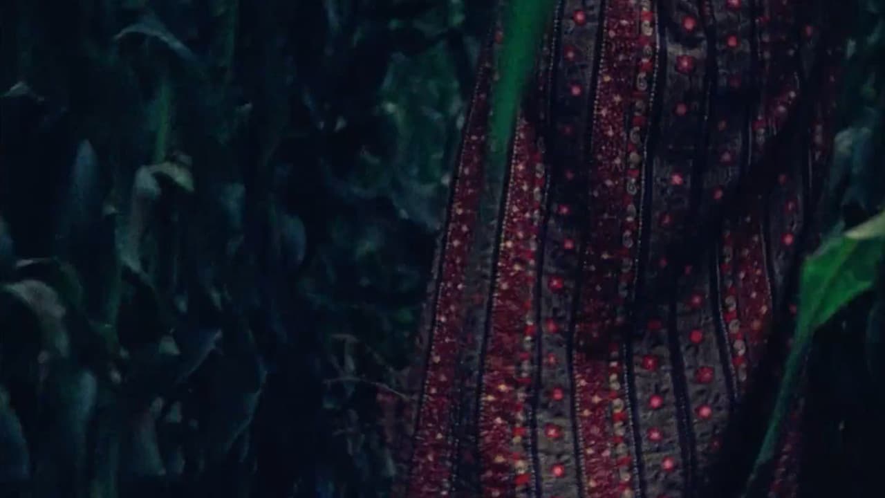 Susan Through Corn