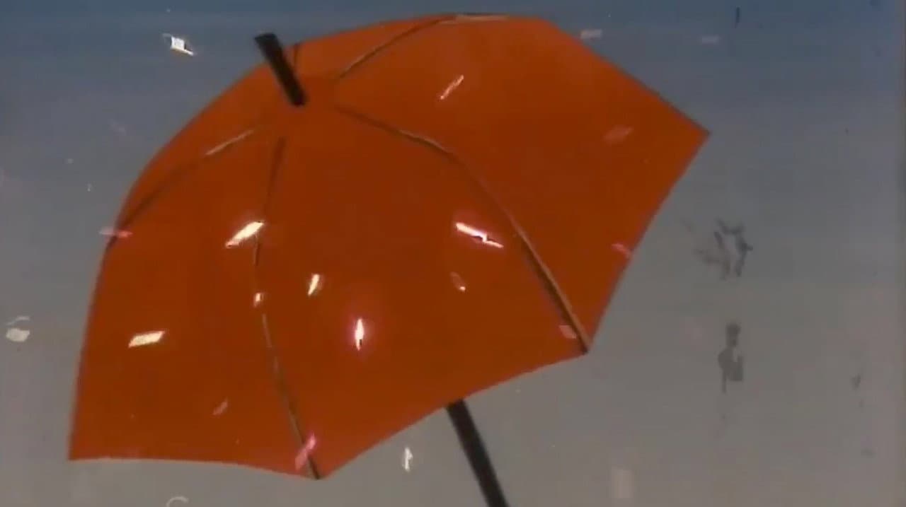 The Red Umbrella