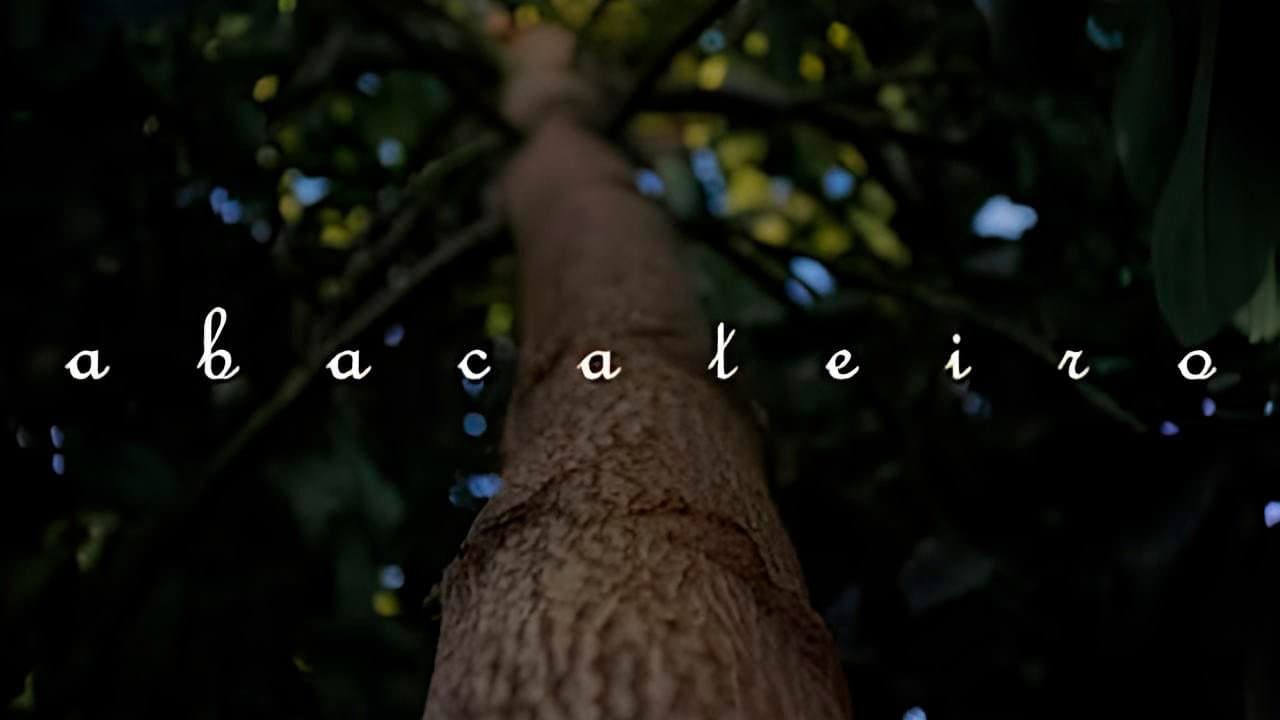 Abacateiro