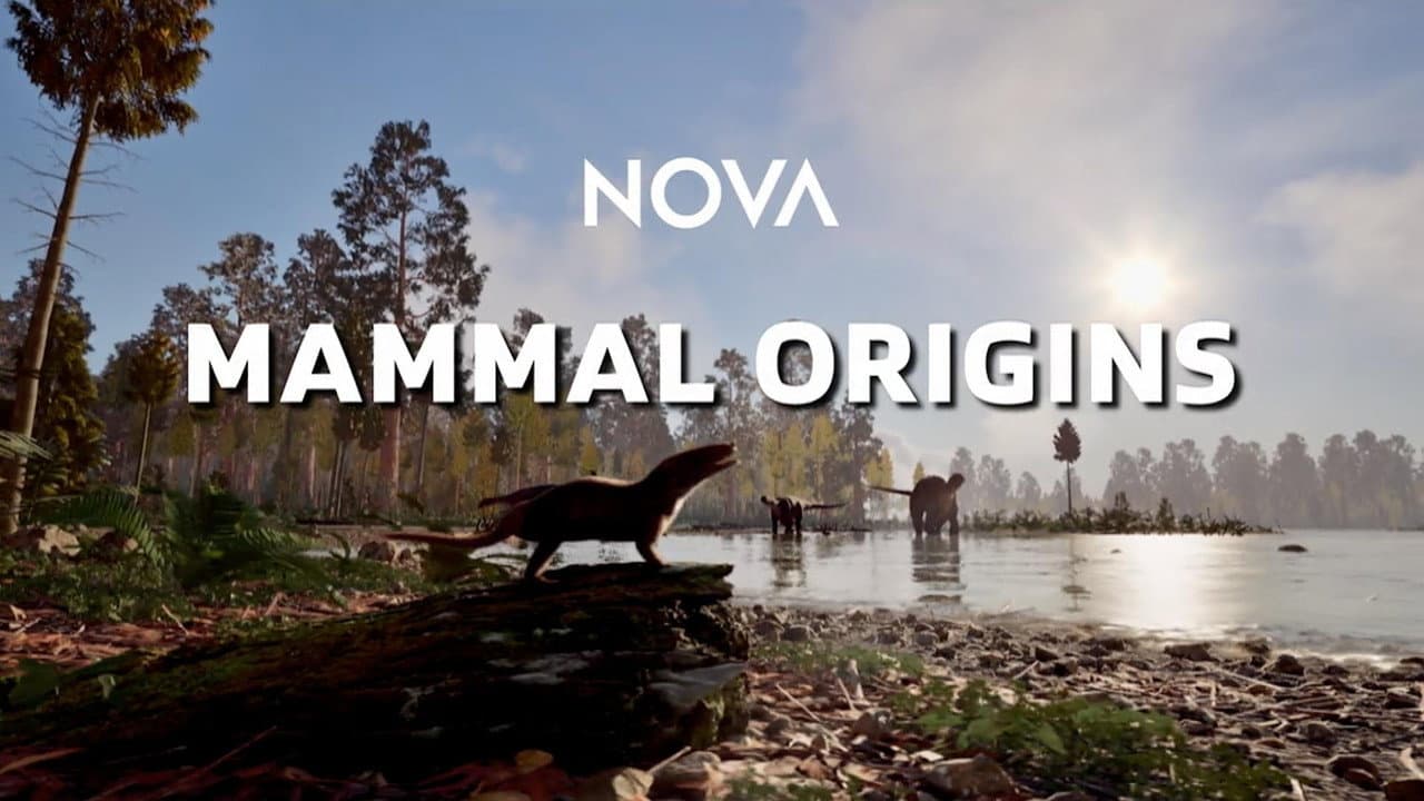 Mammal Origins