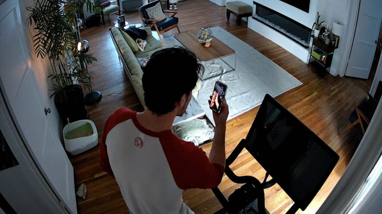 Cat Cam