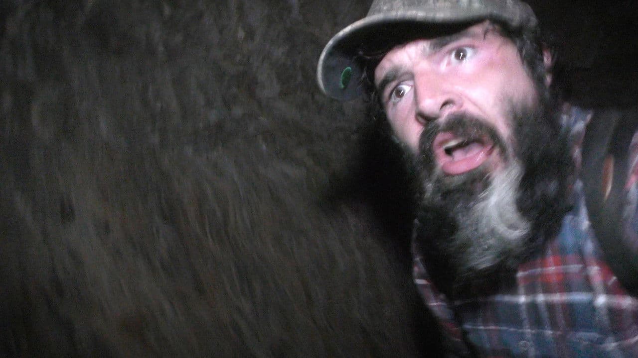 Wilderness Tapes: Volume One