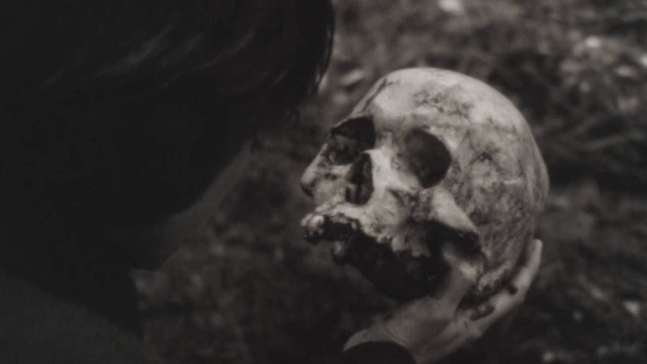 The Absence Of Filmmaker