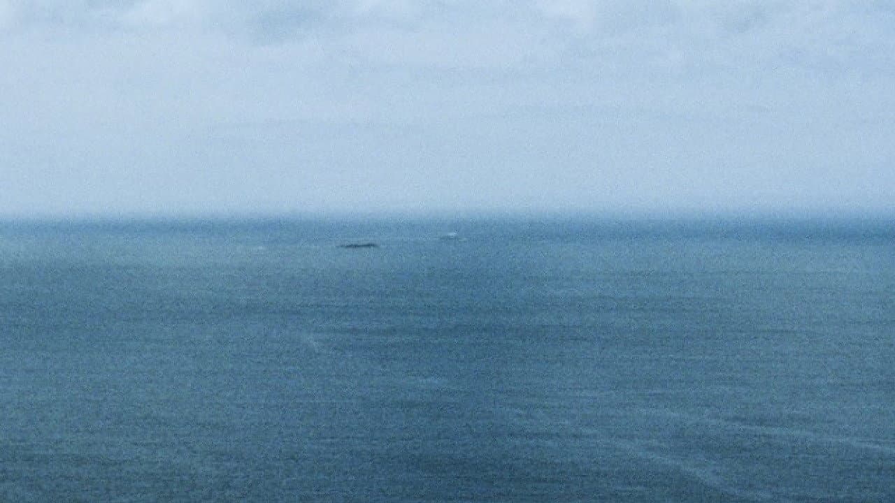 L' Acqua Xe Morta / The Water Is Dead