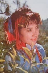 高丽娟