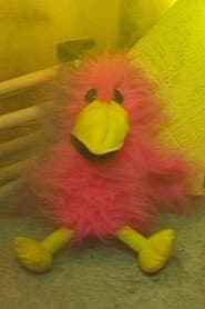 Pauline Bird
