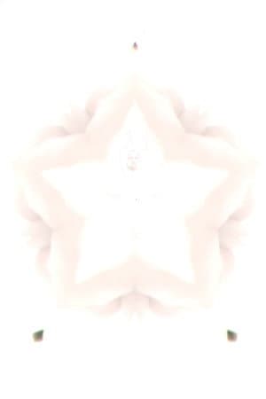 Flower of Flesh, Celestial Body