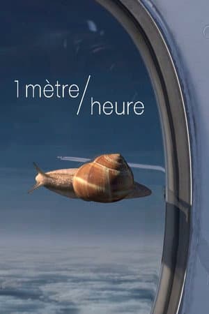 1 meter/hour