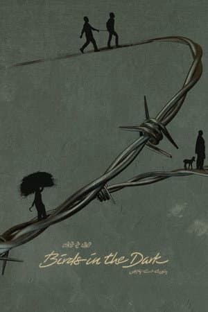 Birds in the Dark