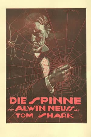 The Spider