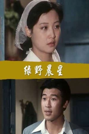 Lü Ye Chen Xing