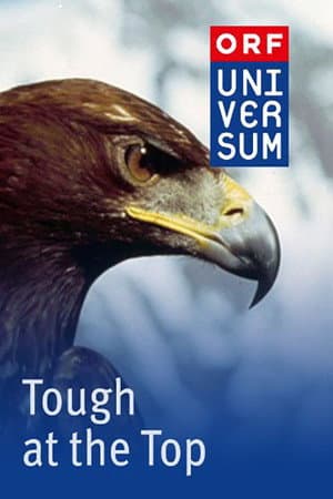 Tough at the Top