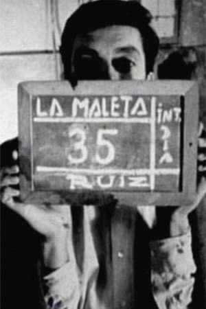 The Suitcase