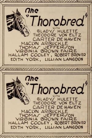The Thoroughbred