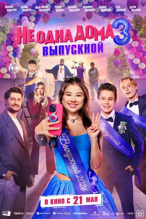 Home Not Alone 3