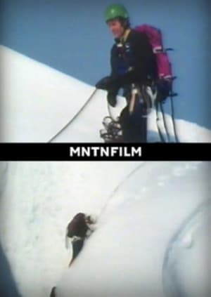Wilkie in Winter