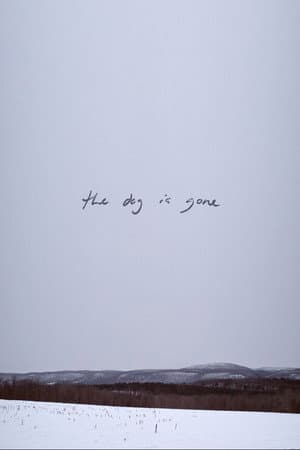 The Dog Is Gone