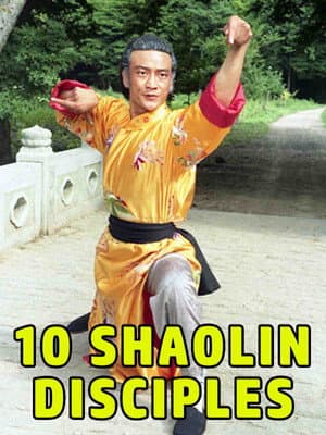 Shaolin Teenage Heroines
