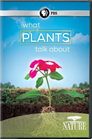 What Plants Talk About