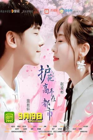 护花高手在都市