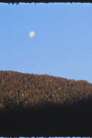El Manso