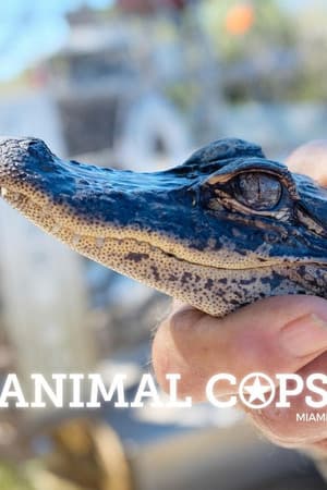 Animal Cops: Miami