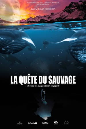 La Quête du sauvage