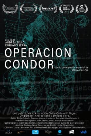 Condor Operation