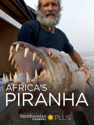 Africa's Piranha