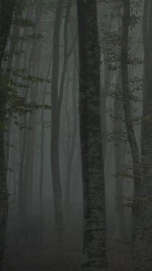 Refuge II: The Ice Path
