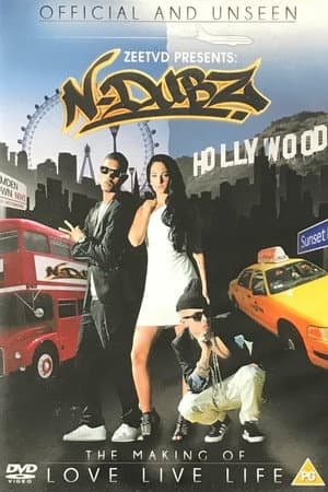 N-Dubz: The Making of Love, Live, Life