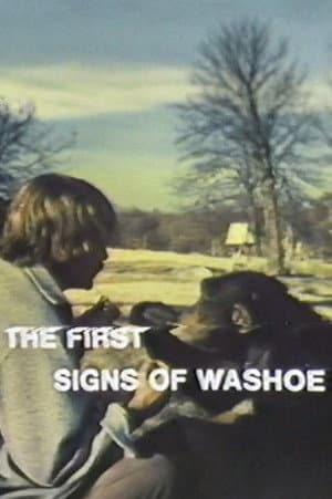 The First Signs of Washoe