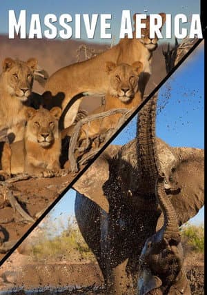 Massive Africa