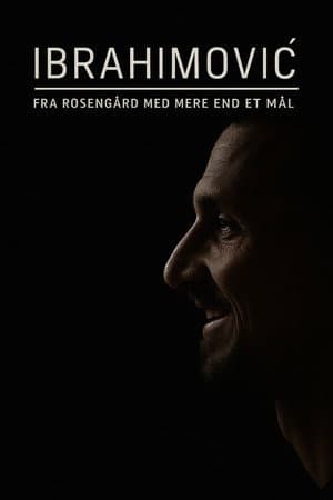 Ibrahimović – From Rosengård with More Than One Goal