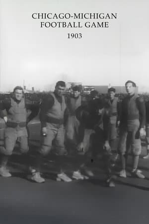Chicago-Michigan Football Game
