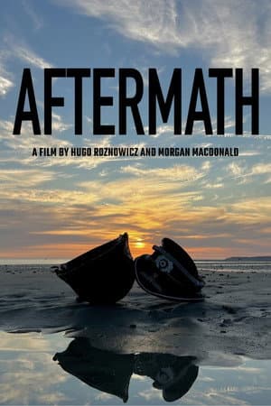 Aftermath