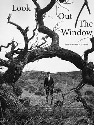 Look Out The Window