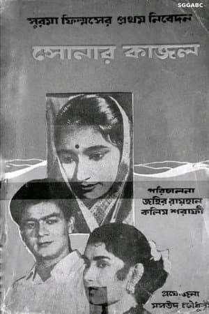 Sonar Kajol
